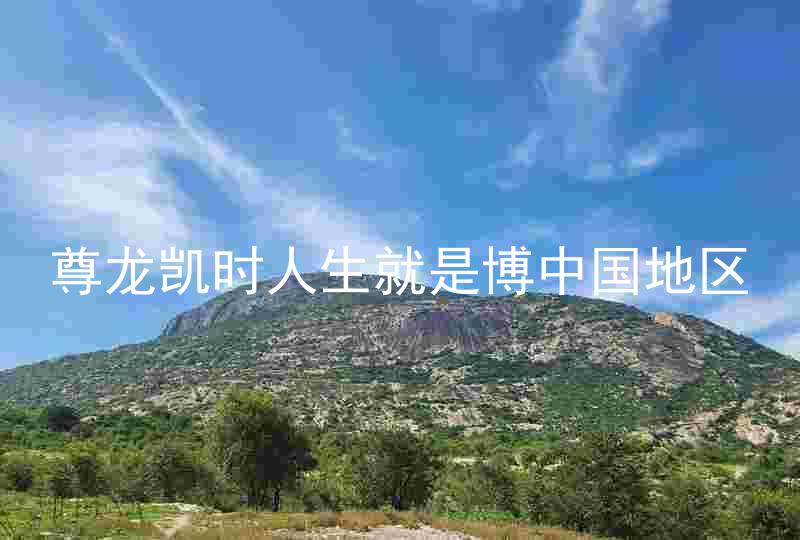 尊龙凯时人生就是博中国地区